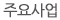 주요사업